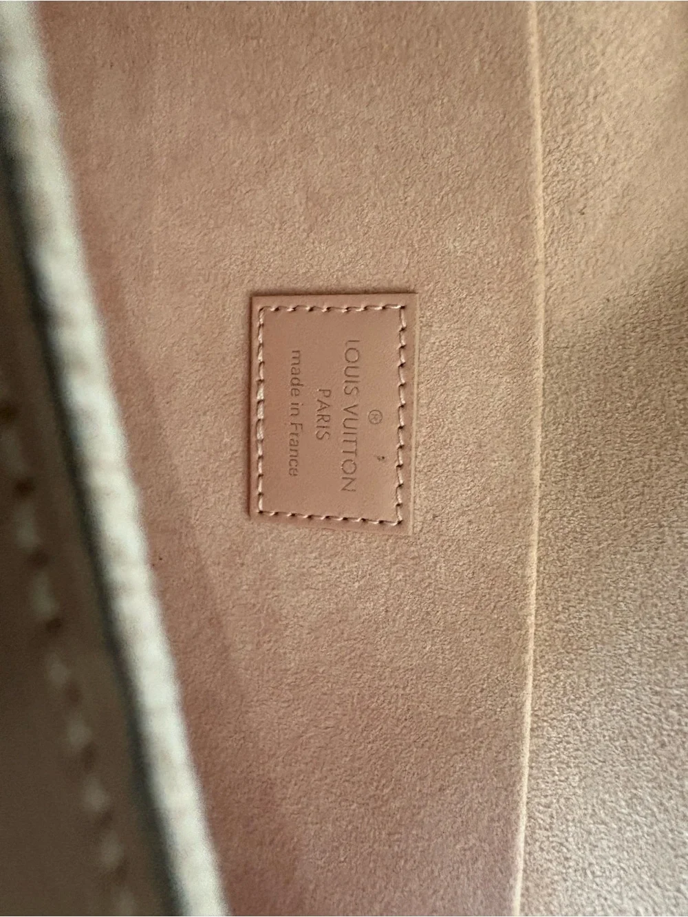 Louis Vuitton brand louis